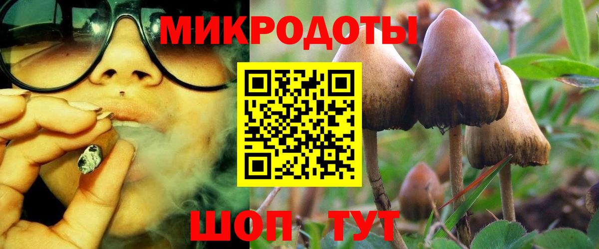 закладки  Вход с VPN  Куйбышев  Псилоцибиновые грибы MAGIC MUSHROOMS 