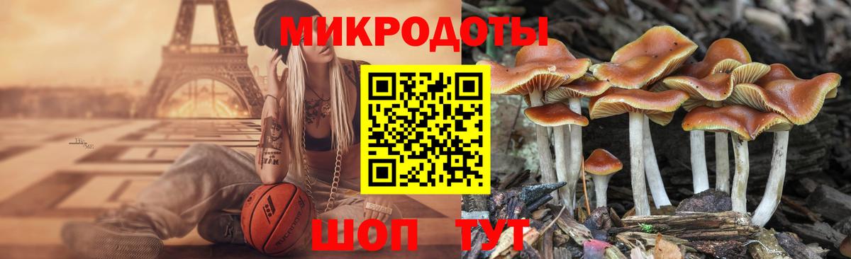 Галлюциногенные грибы MAGIC MUSHROOMS Куйбышев